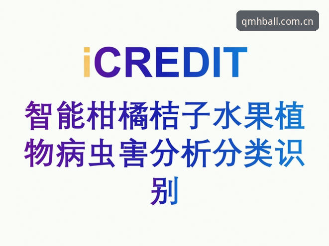 球盟会平台直播场次查询功能全面解析：行家都在看的数据洞察力